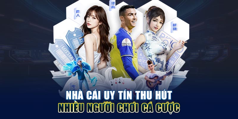 nha-cai-uy-tin-thu-hut-nhieu-nguoi-choi-ca-cuoc