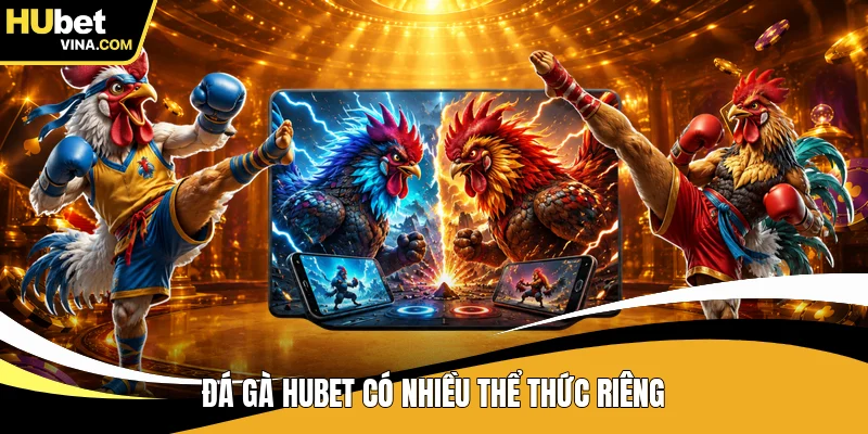 Đá gà HUBET có nhiều thể thức riêng